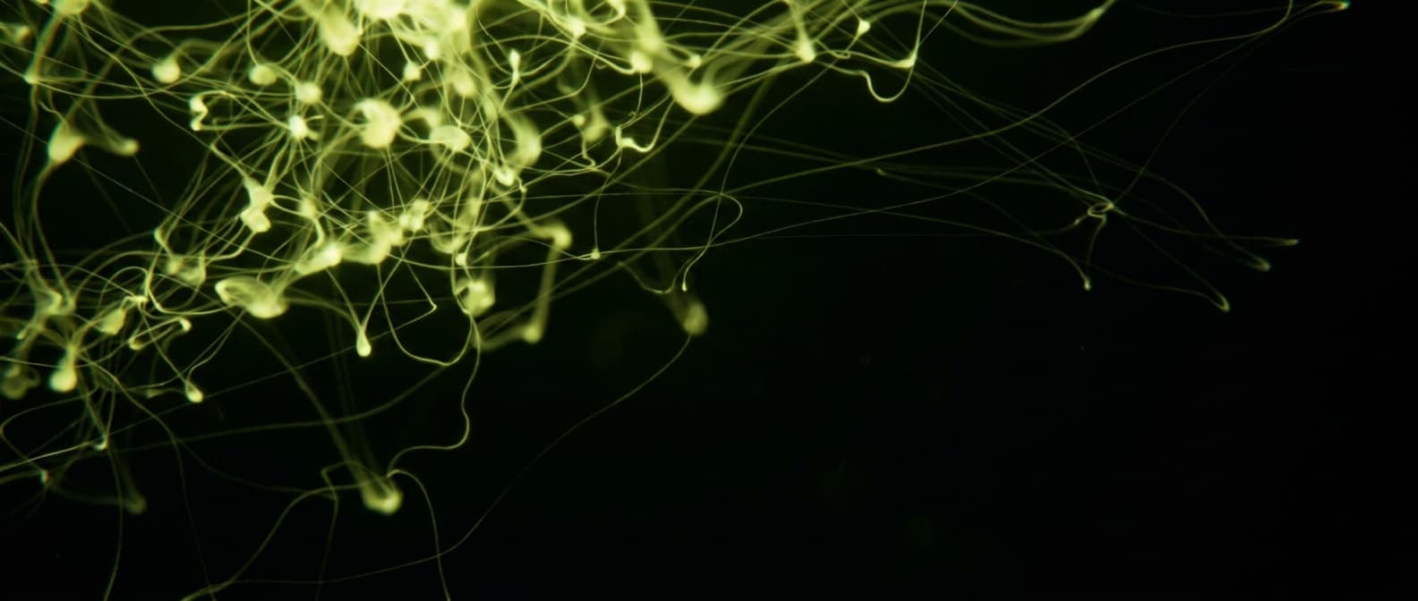 Abstract visualization: flowing green nodes on dark background — is geo a fad? an honest look at what's hype and what's real